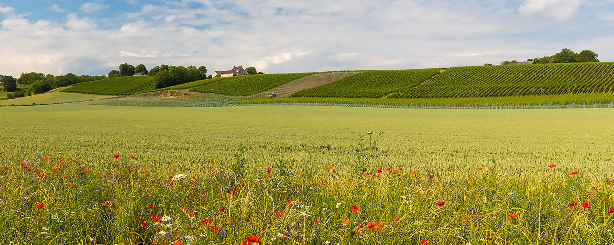 Header Serviceland Header Image