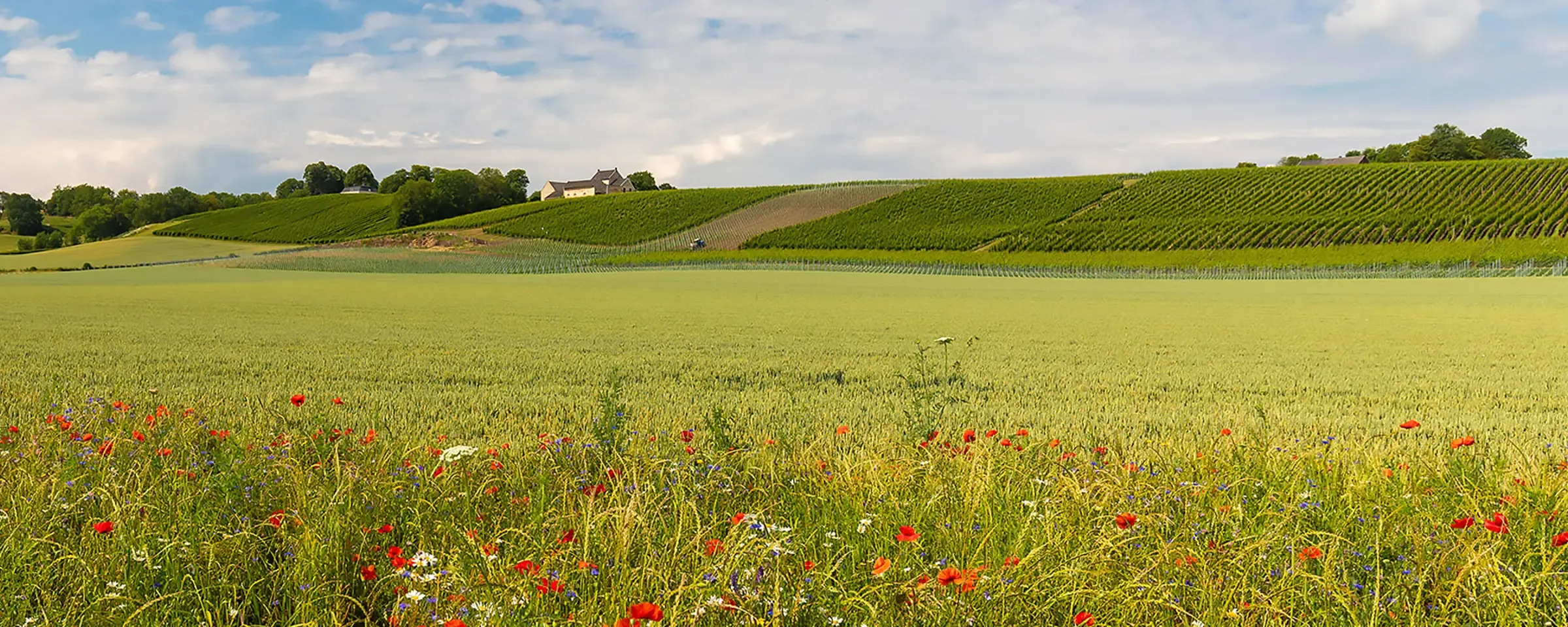 Serviceland BASF Agricultural Solutions
