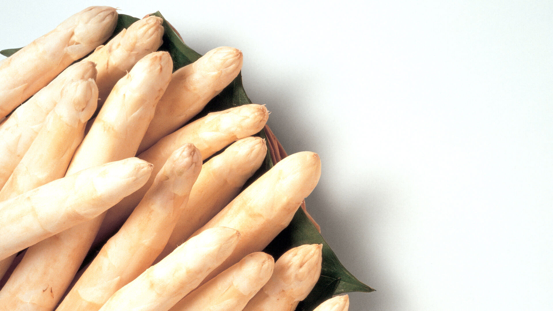 Frisch geernteter weißer Spargel, auf einem Blatt angerichtet