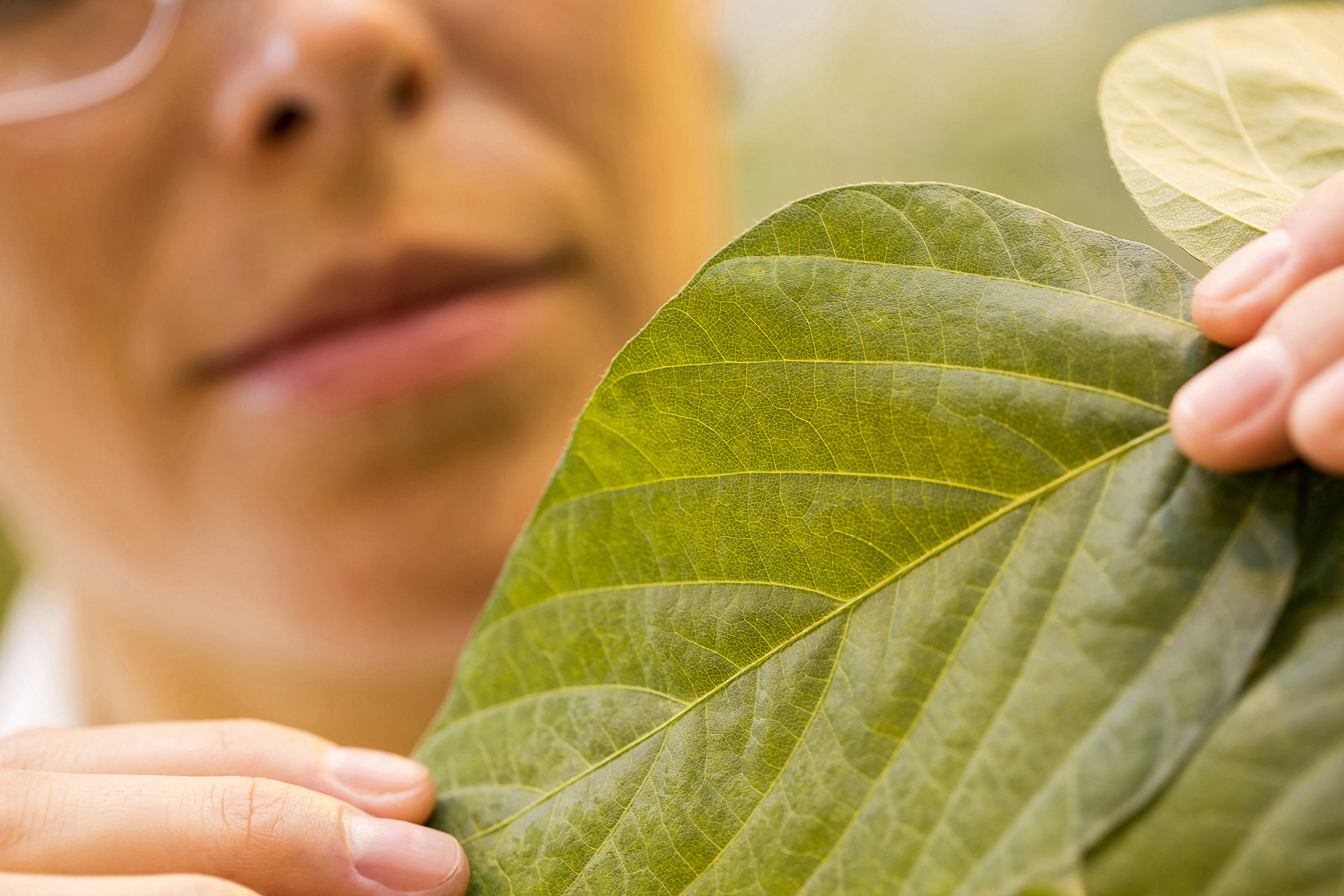 Lexikon aller relevanten Schaderreger für Ihren Pflanzenschutz von BASF Agricultural Solutions Deutschland.