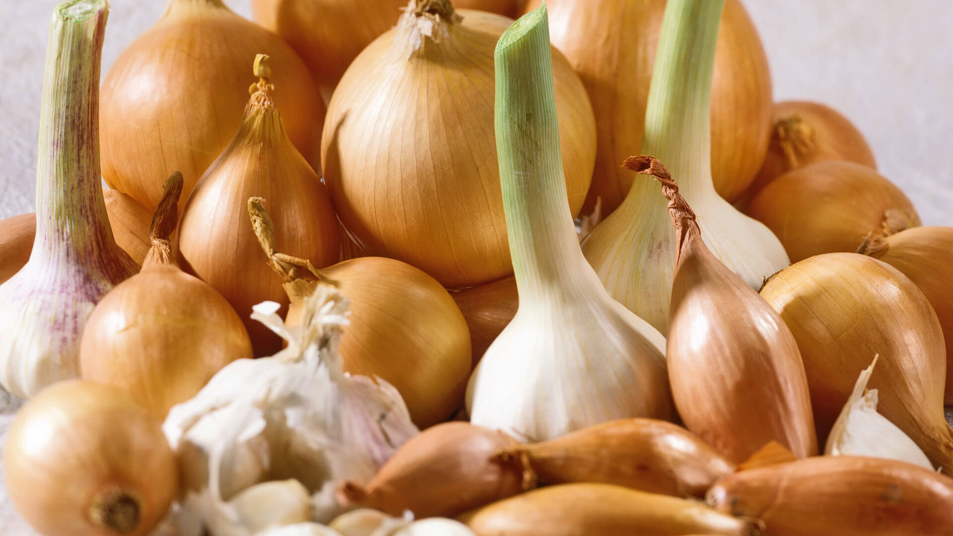 Verschiedene Zwiebelarten und Knoblauchknollen frisch geerntet und gestapelt