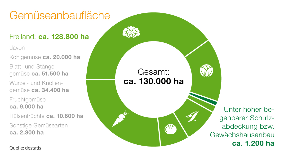 Diagramm Gemüseanbaufläche