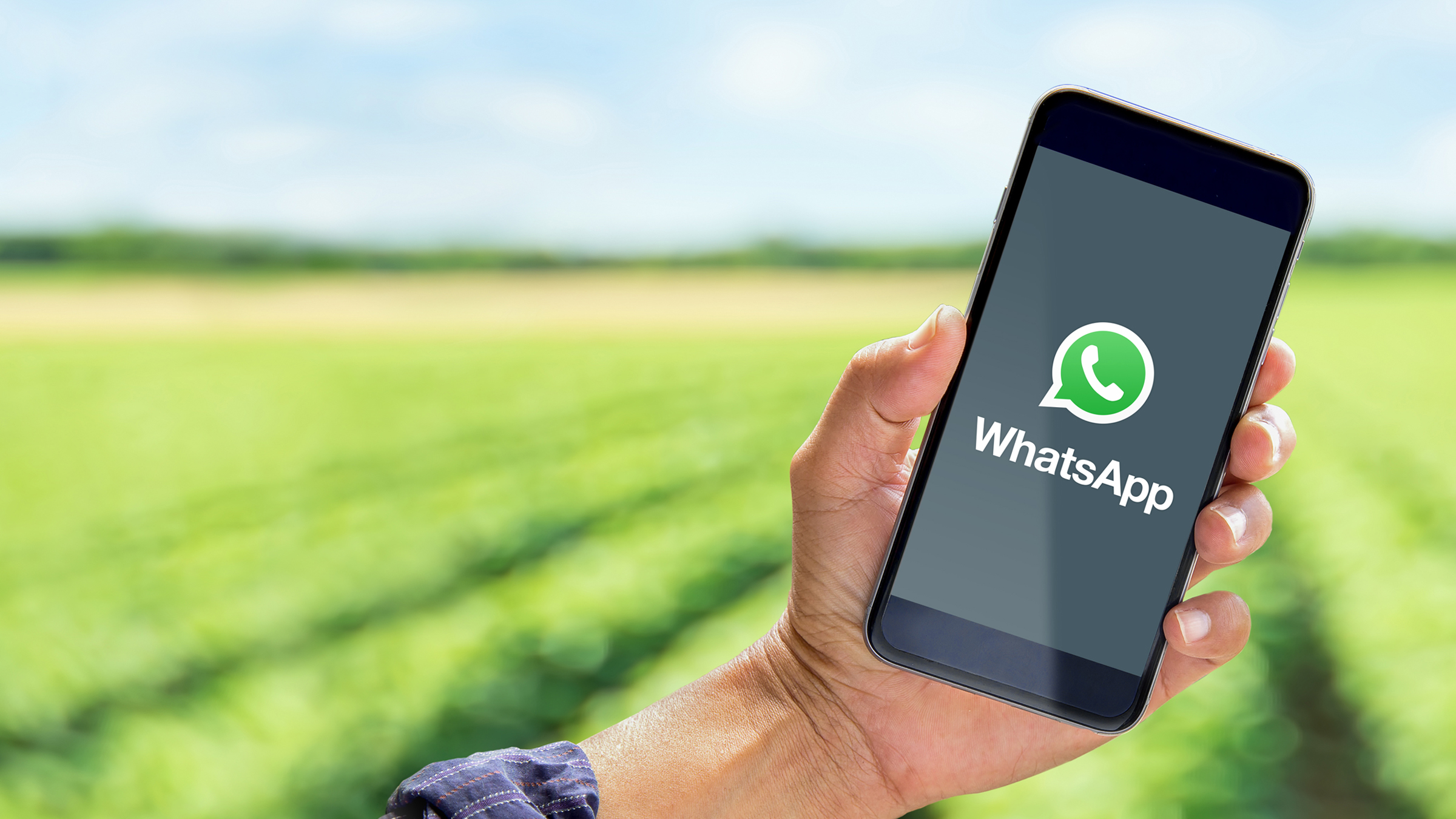 Regionalberatung per Whatsapp