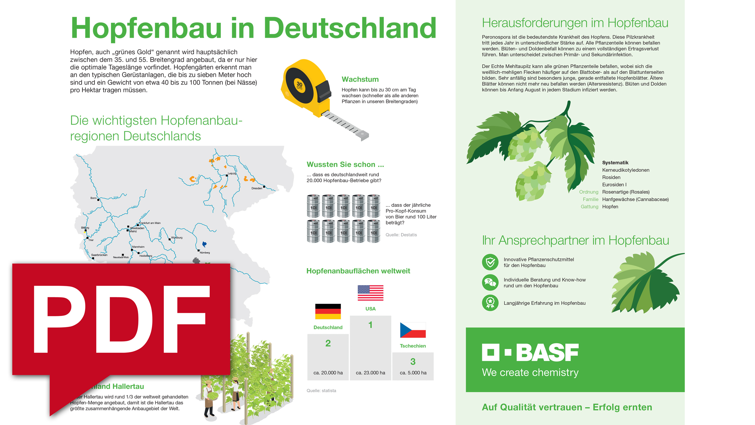 Hopfentbau Infografik als PDF