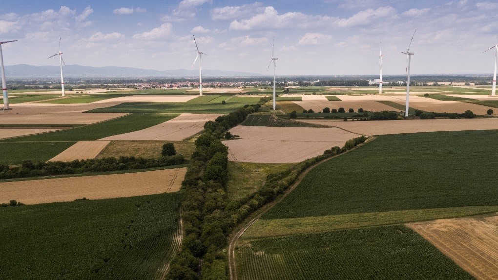 Südpfalz Panoramabild
